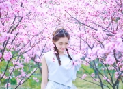 雷火电竞简介-节奏之王，当保罗的惊艳四射撞上吉林队的沉默铜墙