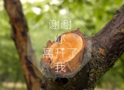 雷火电竞简介-唯一性的跨界诠释，保罗从NBA雷霆到西甲德比的统治之旅