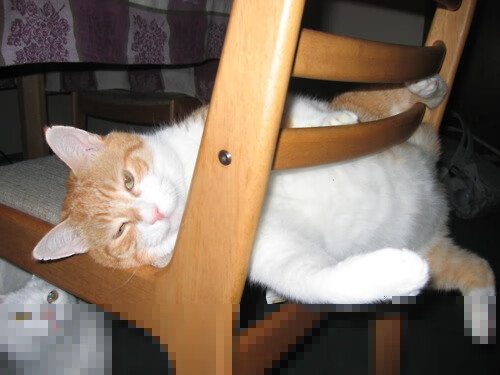 唯一性之证，哈利伯顿跨洋节奏风暴，骑士险胜广东