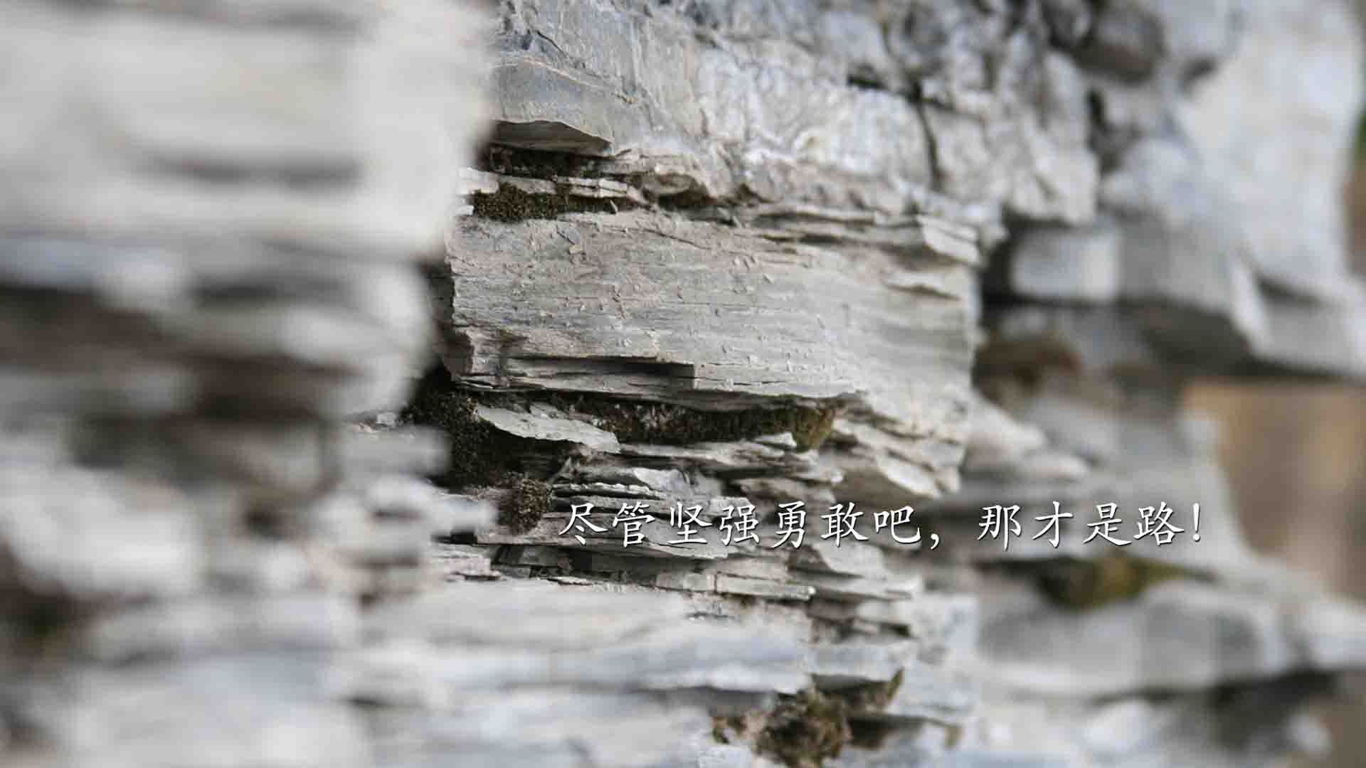 从边陲到中心,阿克在土芬战场,为所有孤独的鹰隼写下诗篇